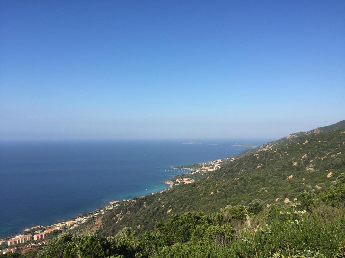 Apartment Ajaccio Sea View: Beachfront T2 With Balcony And Parking